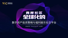 ​西岸社区-全球化数字资产投资策略与福